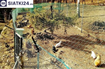 Siatki Tomaszów Mazowiecki - Siatka na woliery - zabezpieczenia ptaków w hodowli dla terenów Tomaszowa Mazowieckiego